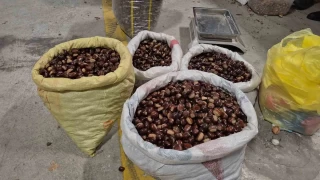 Tescilli lezzet pazara indi
