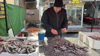 Zonguldak'ta tezgahlar istavritle �enlendi