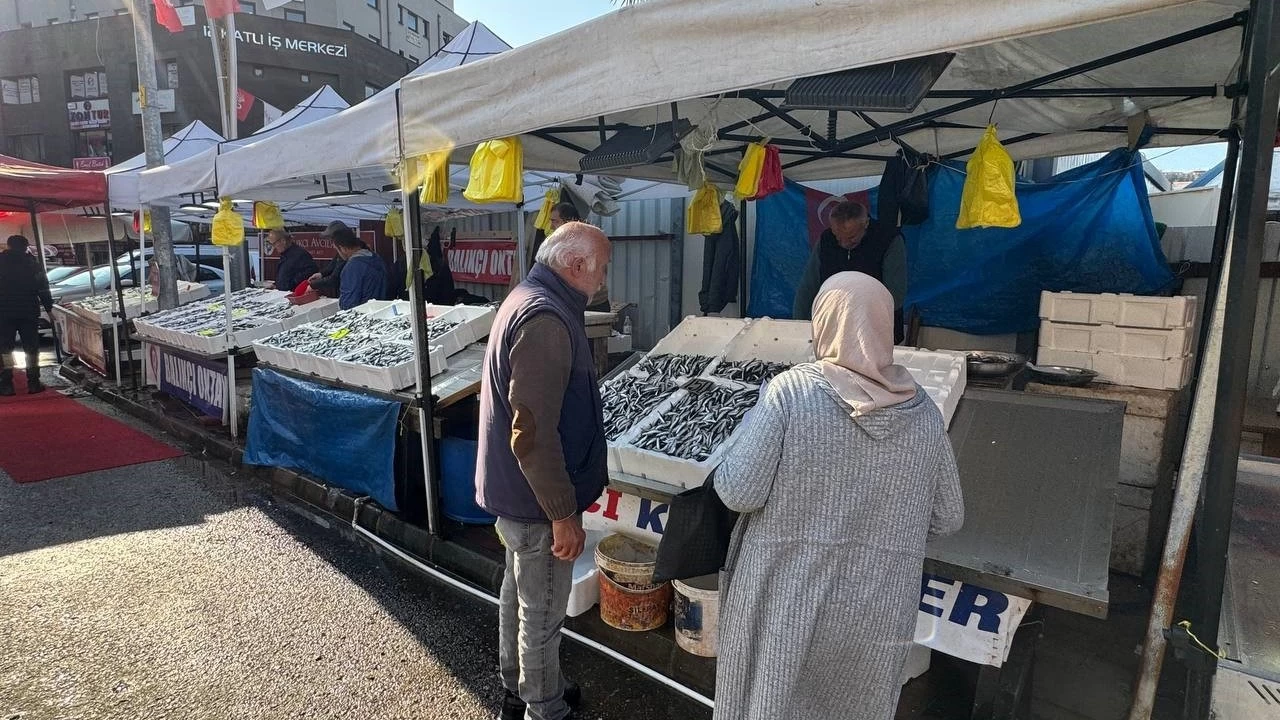 Zonguldak'ta tezgahtaki hamsi yerini diğer balıklara bırakıyor