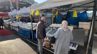 Zonguldak'ta tezgahtaki hamsi yerini diğer balıklara bırakıyor