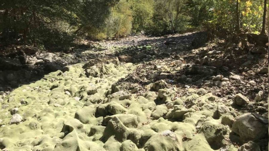 Antalya'da Üzümdere ırmağı kurudu
