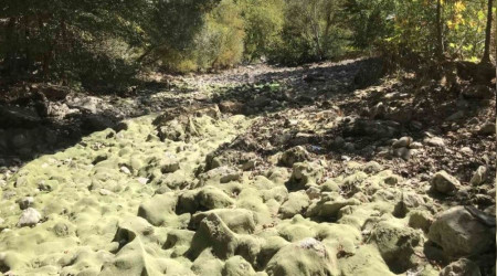 Antalya'da Üzümdere ırmağı kurudu