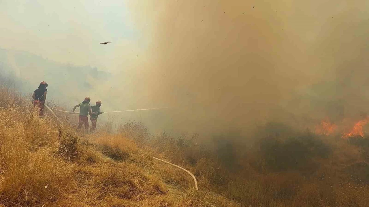 Arnavutluk'ta orman yangını: 1 ölü, 8 yaralı
