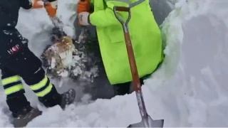 Artvin'de ��� b�lgesinde kurtarma �al��malar� ikinci g�n�nde