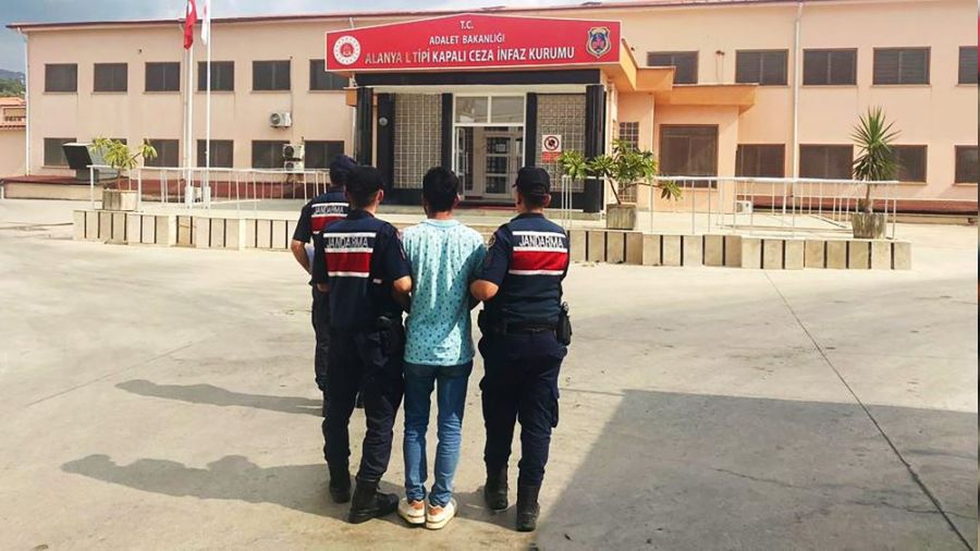 Avokado hırsızı tutuklandı