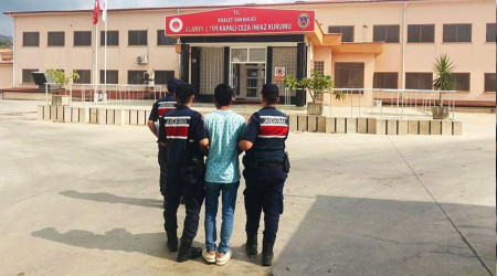 Avokado hırsızı tutuklandı