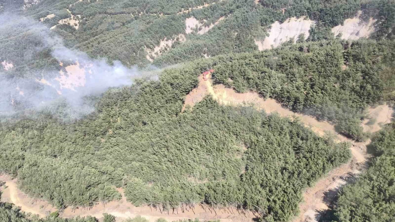 Gökçeada'da orman yangını