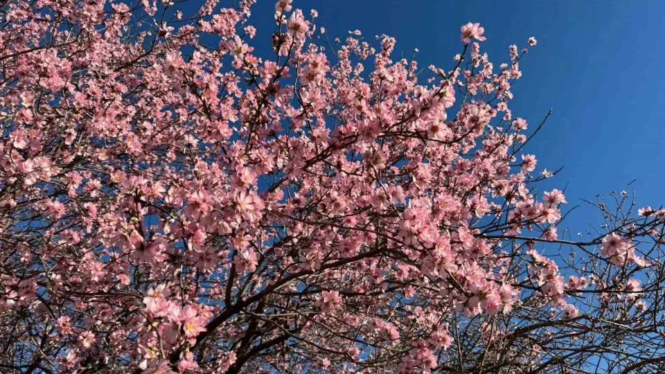 G�r�nt�ler Mardin'den