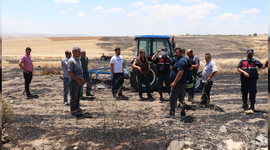 Hasada g�nler kala arpa tarlas� k�l oldu