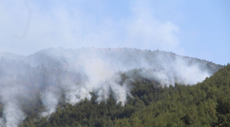 Hatay'da orman yangınına müdahale sürüyor