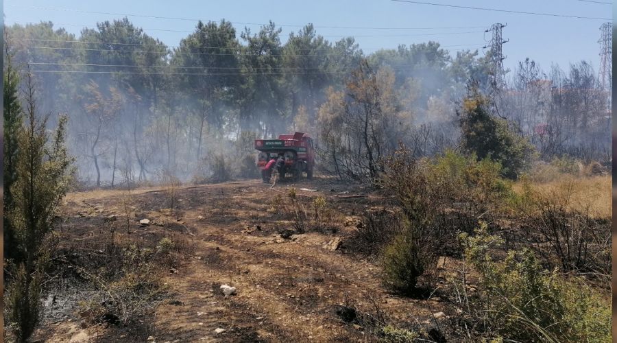 Manavgat'ta 5 d�n�m ormanl�k alan zarar g�rd�