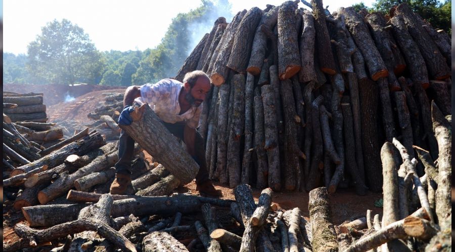 Mangal k�m�r�n�n zorlu yolculu�u