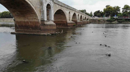 Meri Nehri'ni kuraklk vurdu