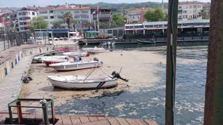 Msilaj balklara ar darbe vurdu