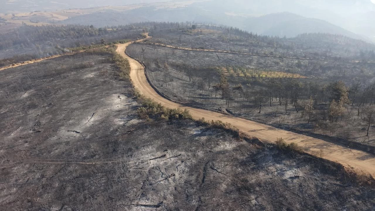 Orman Yangını Söndürüldükten Sonra Yapılması Gereken İlk İşlem