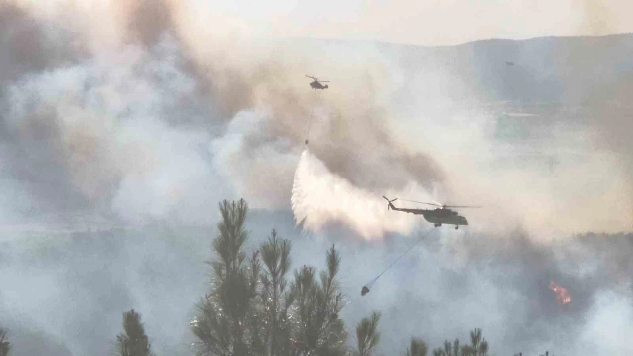 Tekirda'da orman yangn: Mdahale sryor
