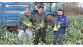  Bu vurgun �ift�ileri ��ld�rt�yor