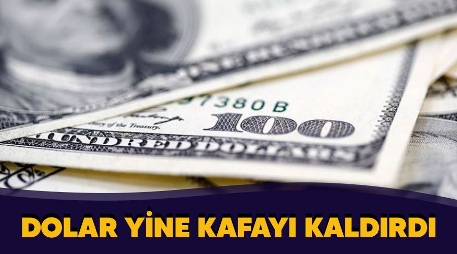 Dolar yine kafay kaldrd