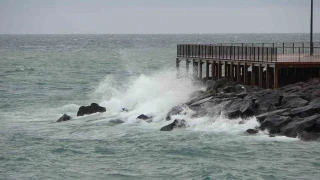 F�rt�na bal�k av�n� etkilese de fiyat�n� etkilemedi