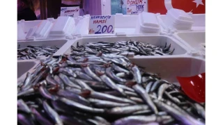 Hamsi tezgahlardaki taht�na yeniden oturdu