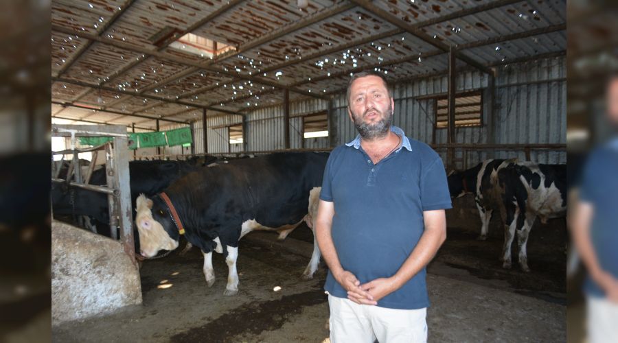 Kurbanl�k al�rken bu p�f noktalara dikkat