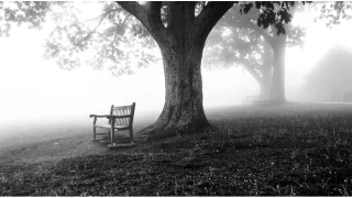 Ne oldu size, sanki hi� �lmeyecek gibisiniz?