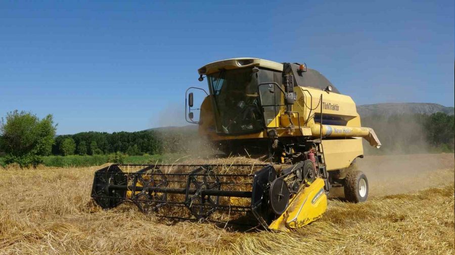 Sa�anak ya���lar �ift�inin y�z�n� g�ld�rmedi