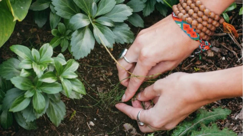 Toprakla U�ra�man�n Sa�l��a Faydalar�