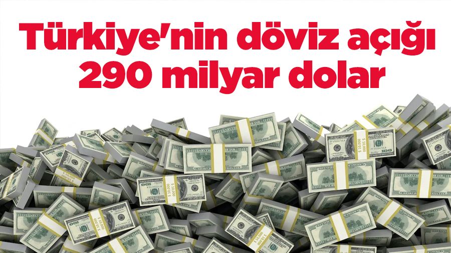 T�rkiye'nin d�viz a���� 290 milyar dolar