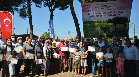 Büyükşehir'den Bergamalı üreticilere manda desteği