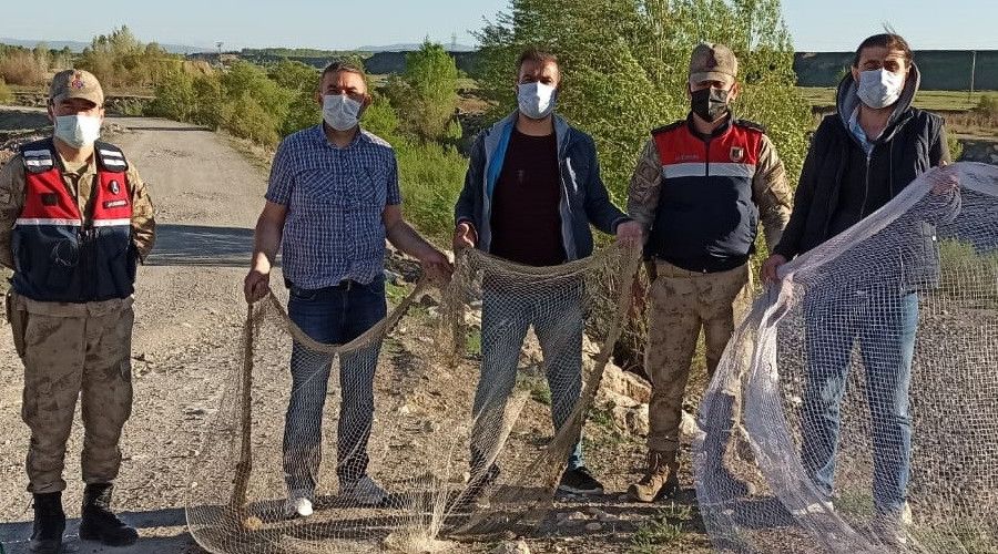 İnci kefalinin kaçak avcılarına göz açtırılmıyor