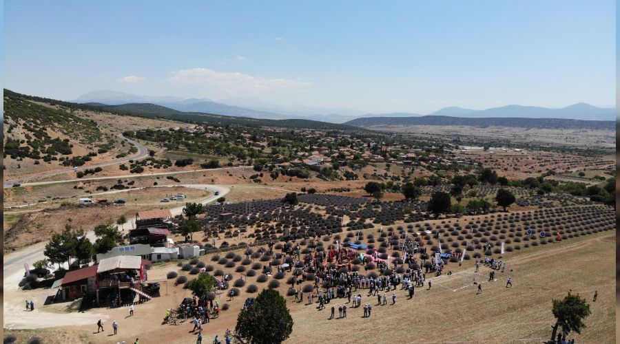 Isparta lavanta şenliği