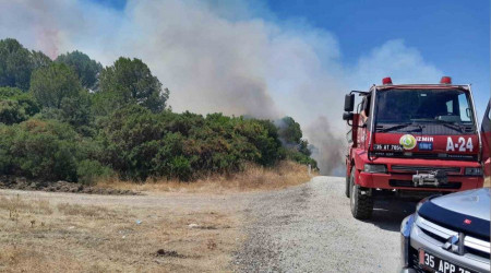 İzmir'in iki ilçesinde aynı anda orman yangını