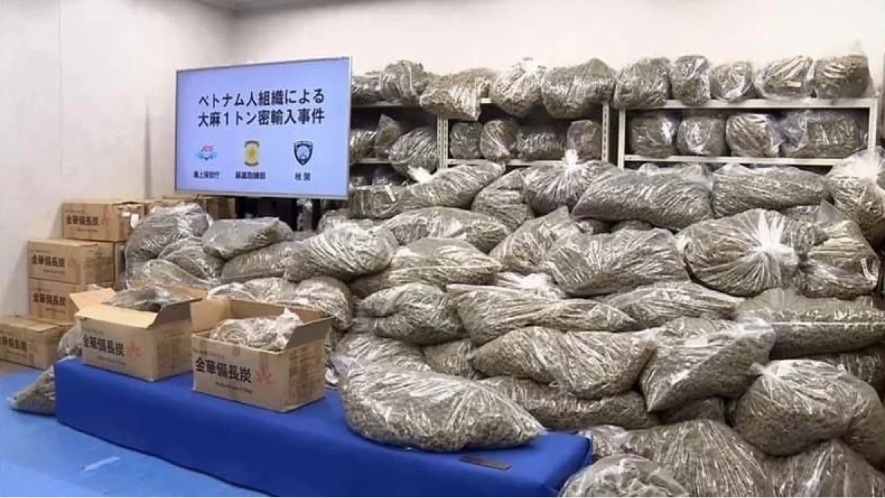 Japonya'da bir ilk... Rekor miktarda esrar ele geçirildi