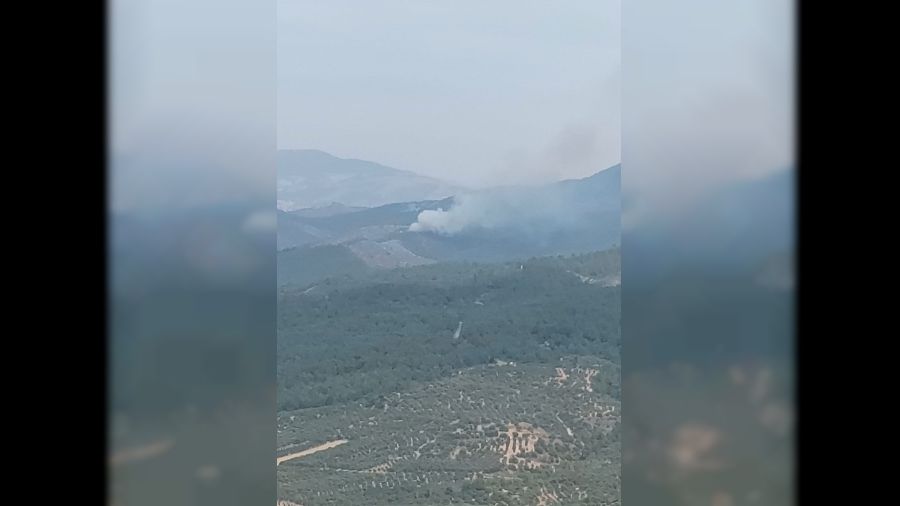 Orman yangnna mdahale ediliyor