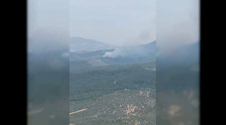 Orman yangnna mdahale ediliyor