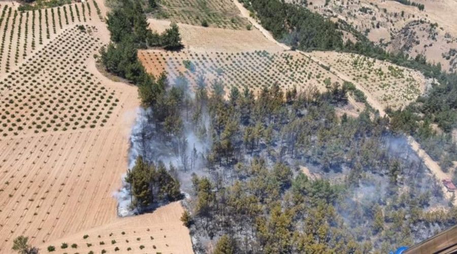 Ormanl�k alanda ��kan yang�nda 2 hektar alan k�l oldu