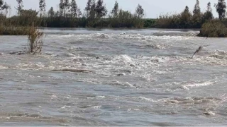 Seyhan Nehri taştı: Tarsus'ta bazı tarım arazileri sular altında kaldı