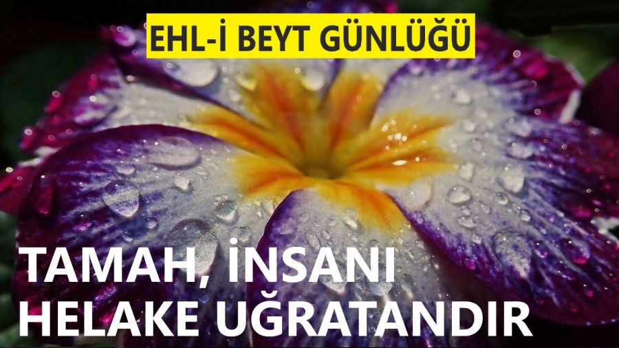 ‘Tamah, insanı helake uğratandır’