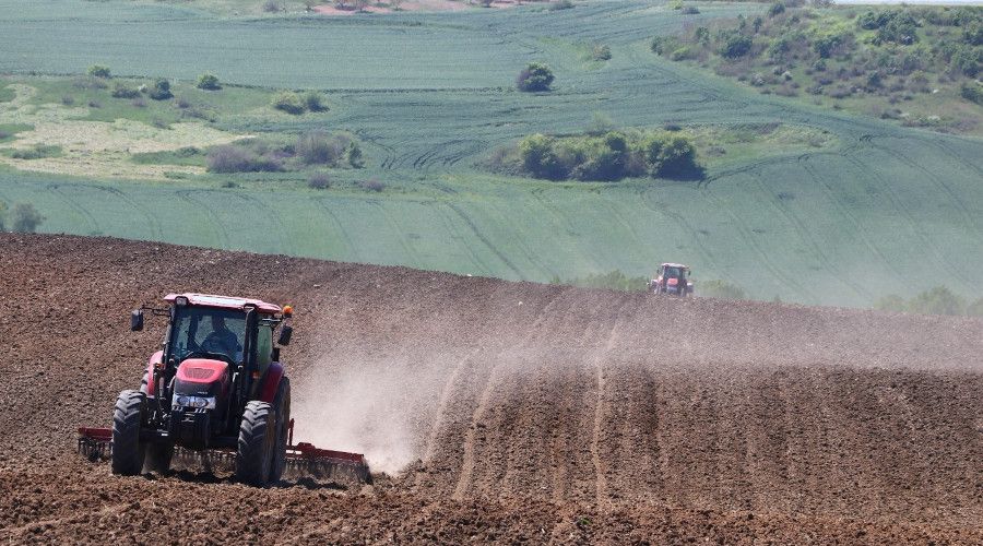 Trkiye'nin ayiei ambar Tekirda'da ayiei ekimi balad