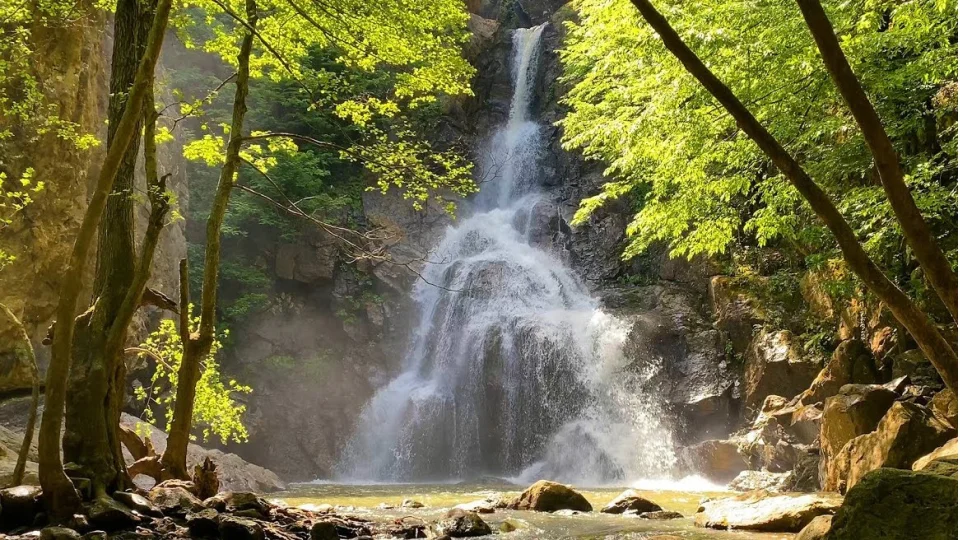 Erikli Şelalesi: Hem günübirlik hem de uzun soluklu kamplar için ideal