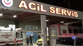 İstanbul Valiliği, "İstanbul'da kuduz vakalarında patlama" şeklindeki haberlerin gerçeği yansıtmadığını bildirdi: