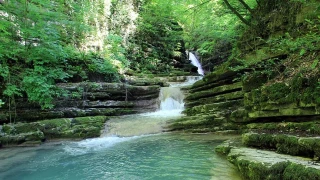 �elaleler diyar� Erfelek