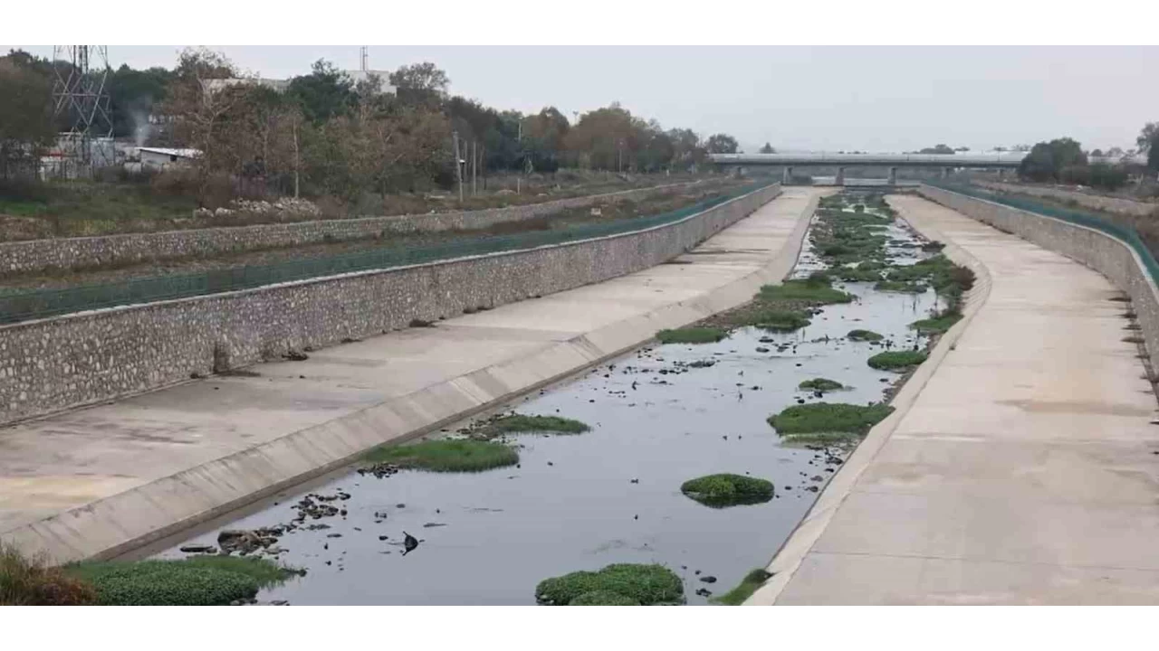 Gönen Çayı'nda ekolojik çöküş: Bilim insanlarından acil eylem çağrısı