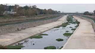 Gönen Çayı'nda ekolojik çöküş: Bilim insanlarından acil eylem çağrısı