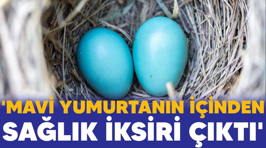'Mavi yumurtanın içinden sağlık iksiri çıktı'