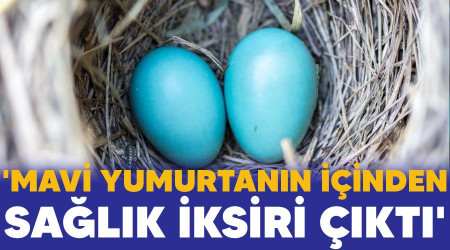 'Mavi yumurtanın içinden sağlık iksiri çıktı'